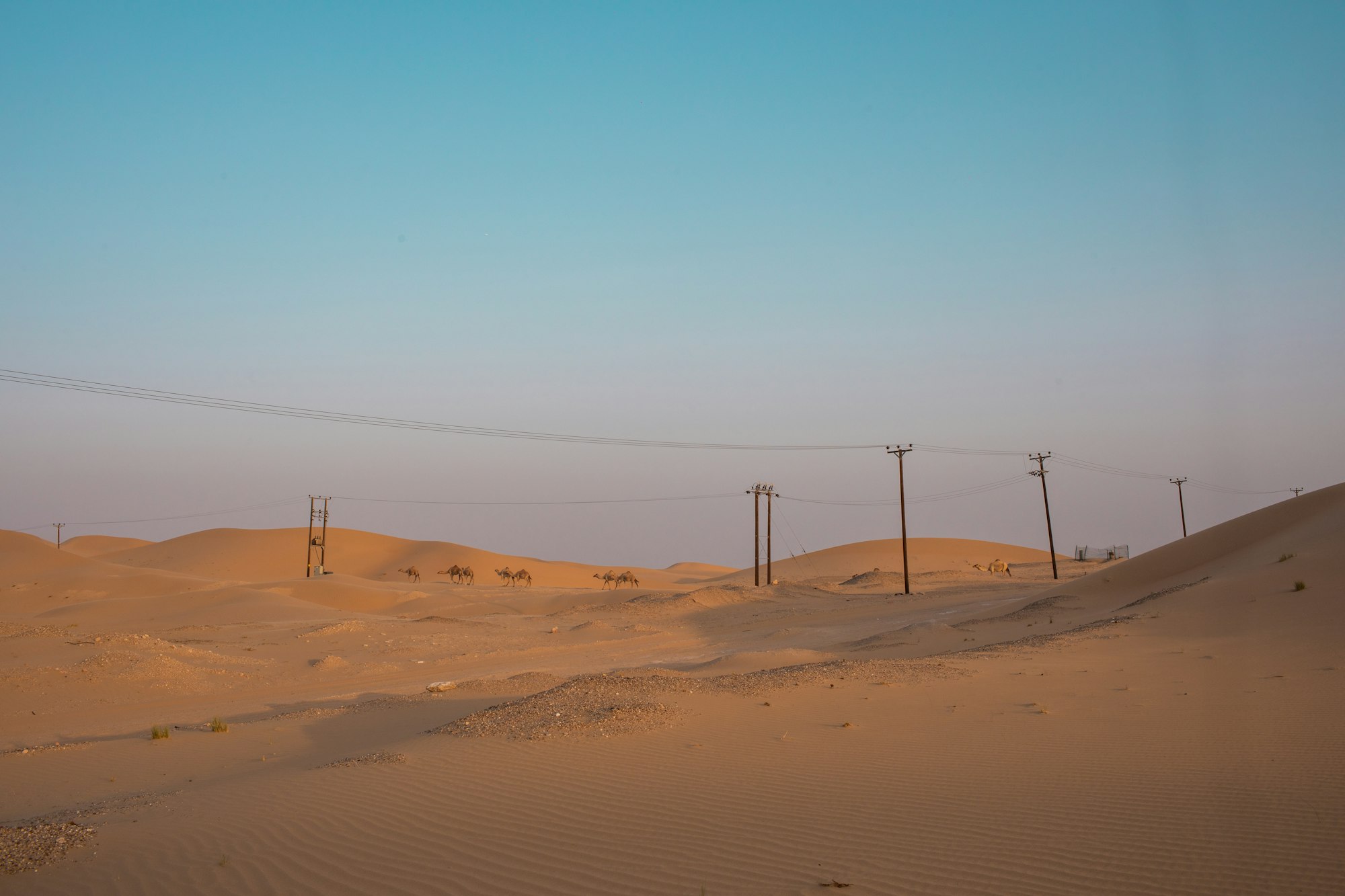Power lines crossing desert landscape in the UAE, reflecting CESC’s Middle East and Africa delivery context
